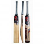 RS Robinson Recorder Kashmir Willow Cricket Bat (SH)